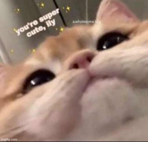 :3 | made w/ Imgflip meme maker