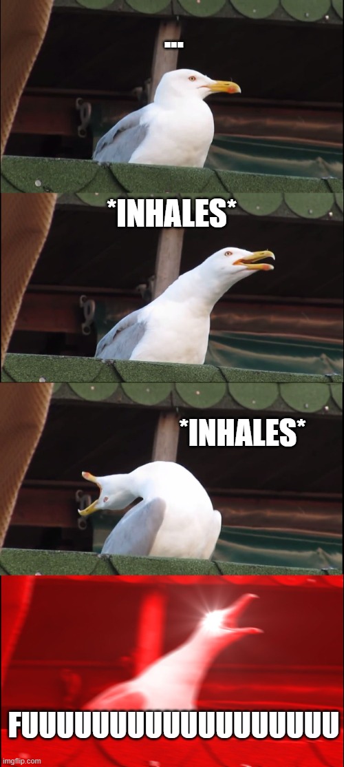 when you lose in fortnite in a battle royal and you were so close to the goal | ... *INHALES*; *INHALES*; FUUUUUUUUUUUUUUUUUU | image tagged in memes,inhaling seagull | made w/ Imgflip meme maker