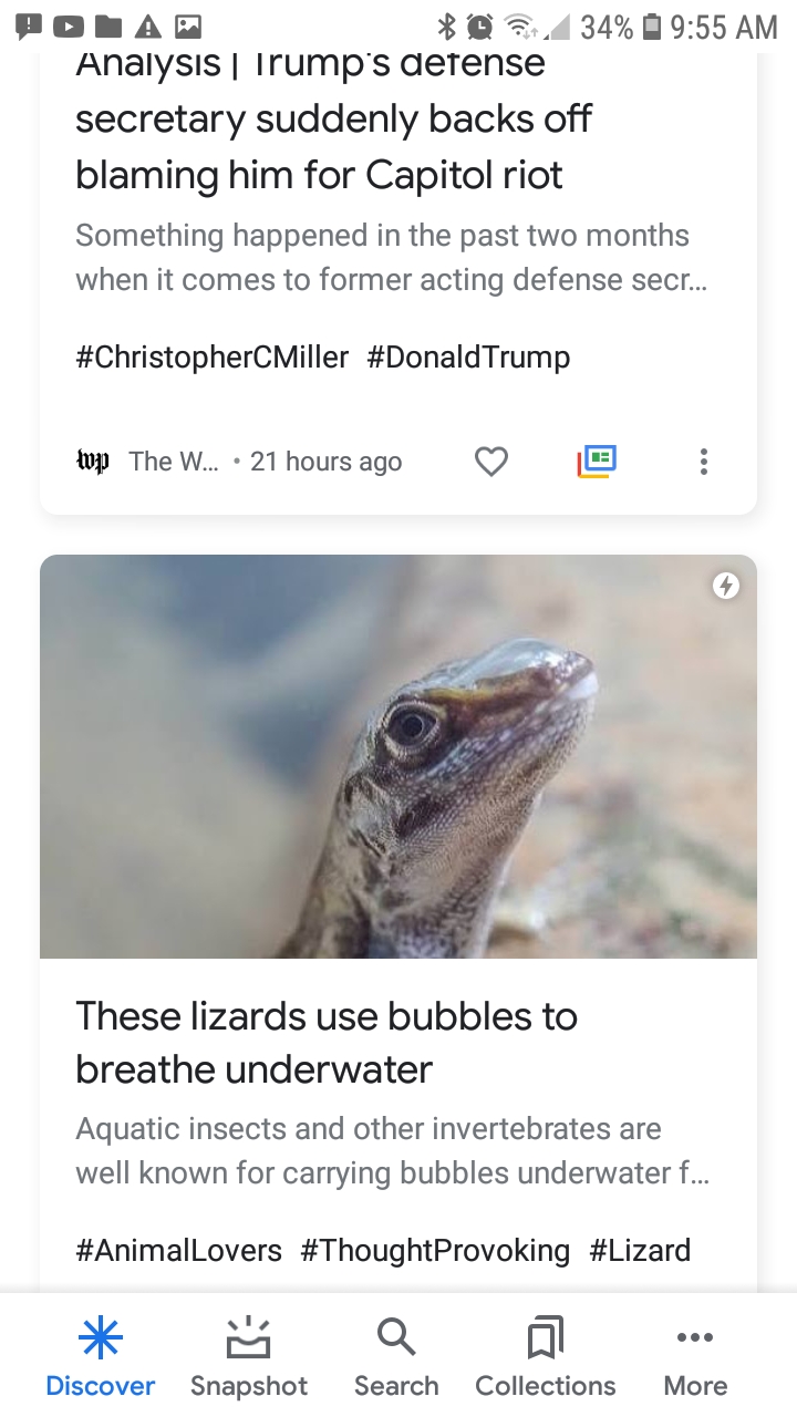 Nazi Trumper Scuba Lizard News Duo Blank Meme Template