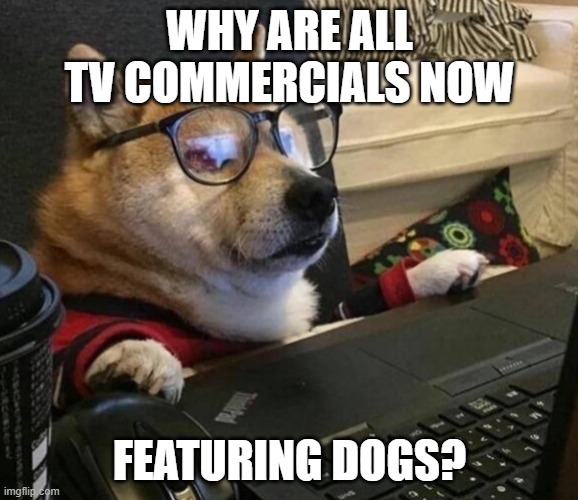 dog computer | WHY ARE ALL TV COMMERCIALS NOW; FEATURING DOGS? | image tagged in dog computer | made w/ Imgflip meme maker