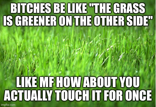 touch grass | BITCHES BE LIKE "THE GRASS IS GREENER ON THE OTHER SIDE"; LIKE MF HOW ABOUT YOU ACTUALLY TOUCH IT FOR ONCE | image tagged in grass is greener,touch grass,dont cry | made w/ Imgflip meme maker