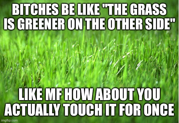 Go touch some grass. : r/memes