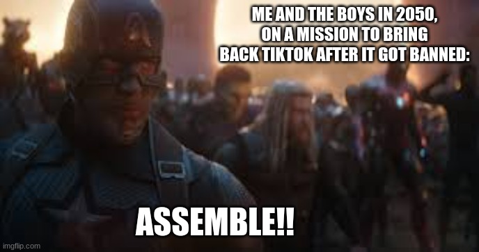 We will fight to the very end | ME AND THE BOYS IN 2050, ON A MISSION TO BRING BACK TIKTOK AFTER IT GOT BANNED:; ASSEMBLE!! | image tagged in avengers assemble | made w/ Imgflip meme maker