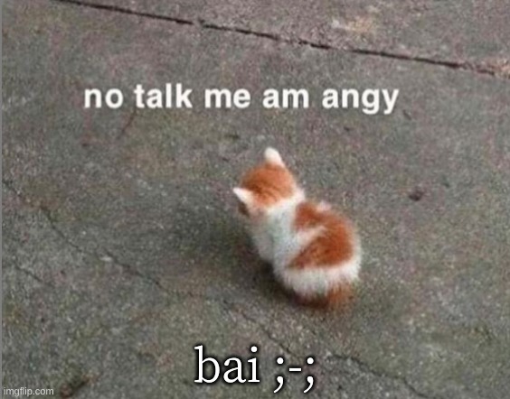 no talk me am angy | bai ;-; | image tagged in no talk me am angy | made w/ Imgflip meme maker