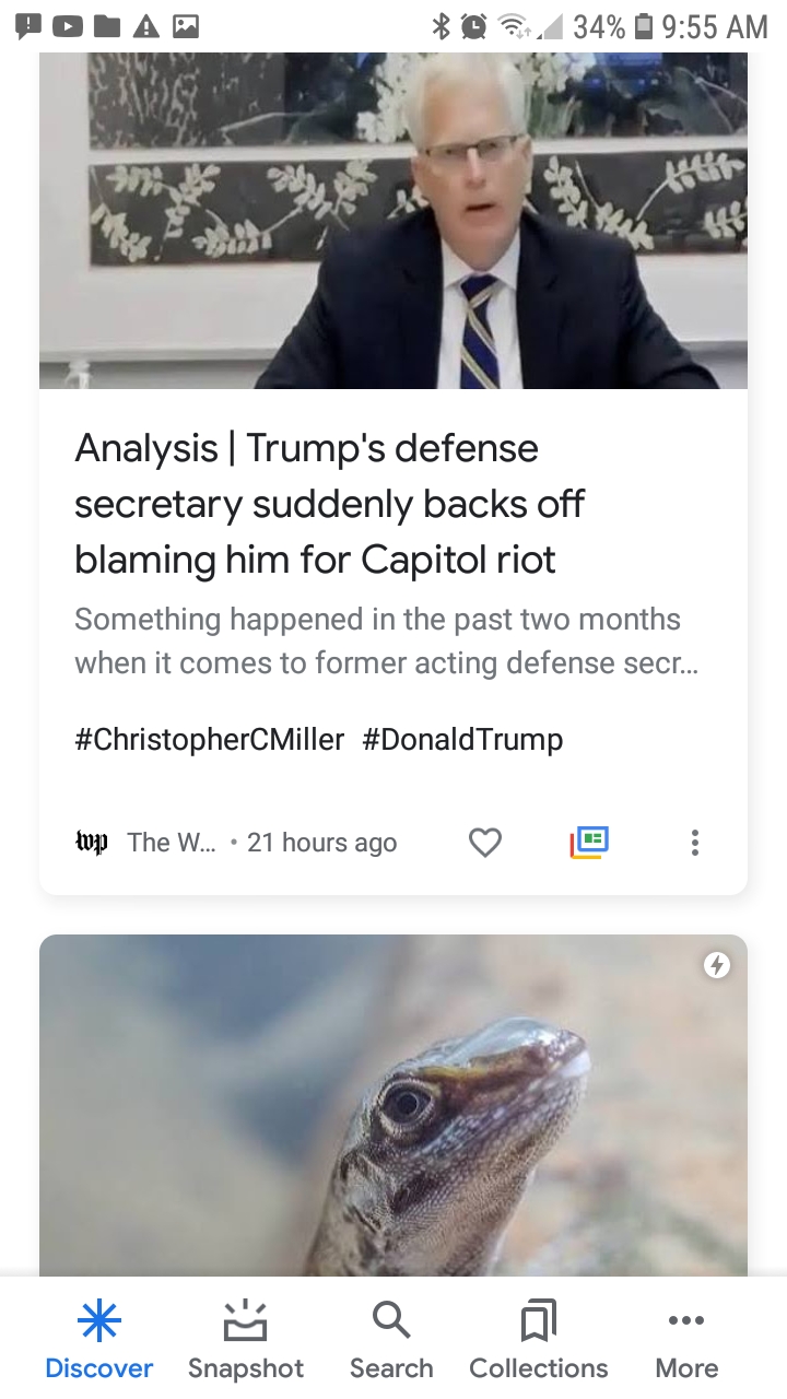 Nazi Lizard News Duo Blank Meme Template