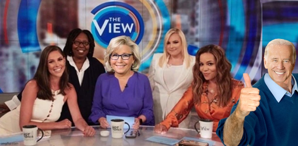 Megan McCain has a new job | image tagged in television | made w/ Imgflip meme maker