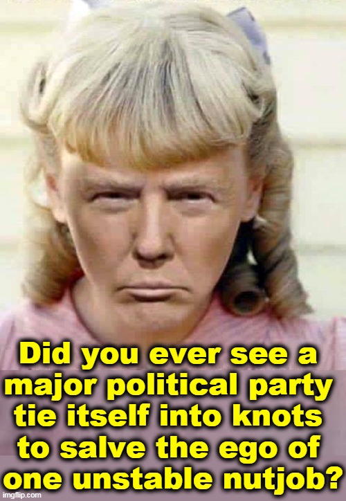 Trump, a nutcase holding an entire political party for ransom. | Did you ever see a 
major political party 
tie itself into knots 
to salve the ego of 
one unstable nutjob? | image tagged in mean girl trump trash talking all opponents,trump,nutcase,gop,republican,snowflakes | made w/ Imgflip meme maker