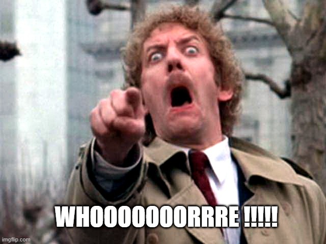 Screaming Donald Sutherland | WHOOOOOOORRRE !!!!! | image tagged in screaming donald sutherland | made w/ Imgflip meme maker