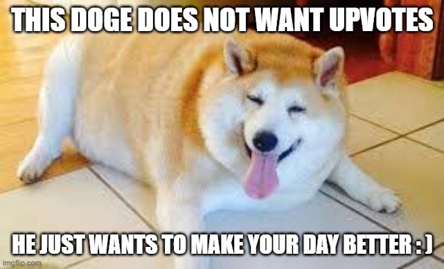 Thicc Doggo |  THIS DOGE DOES NOT WANT UPVOTES; HE JUST WANTS TO MAKE YOUR DAY BETTER : ) | image tagged in thicc doggo | made w/ Imgflip meme maker