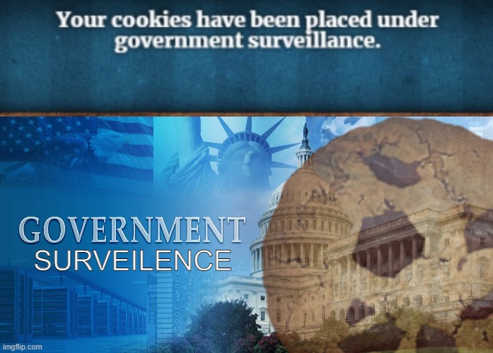 SURVEILENCE | image tagged in government meme | made w/ Imgflip meme maker