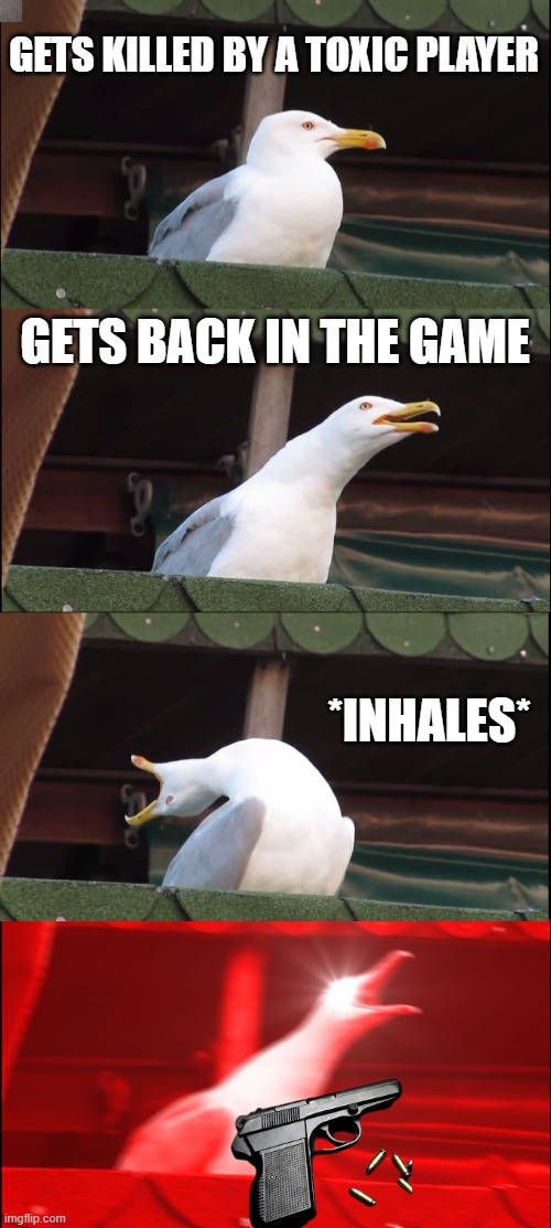 Inhaling Seagull | GETS KILLED BY A TOXIC PLAYER; GETS BACK IN THE GAME; *INHALES* | image tagged in memes,inhaling seagull | made w/ Imgflip meme maker