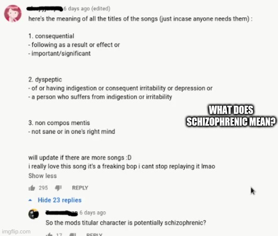 anyone know | WHAT DOES SCHIZOPHRENIC MEAN? | made w/ Imgflip meme maker