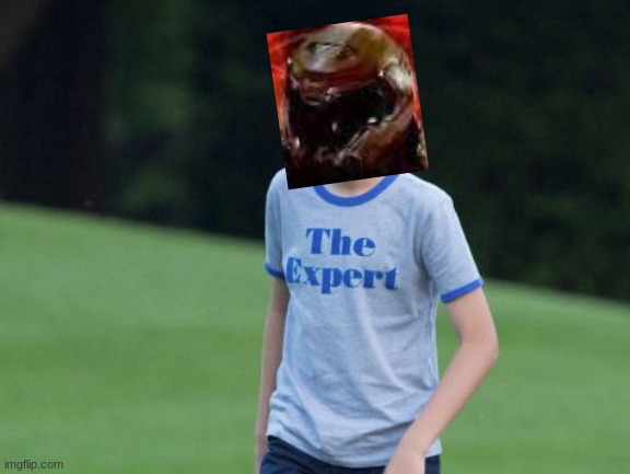 The Expert | image tagged in the expert | made w/ Imgflip meme maker