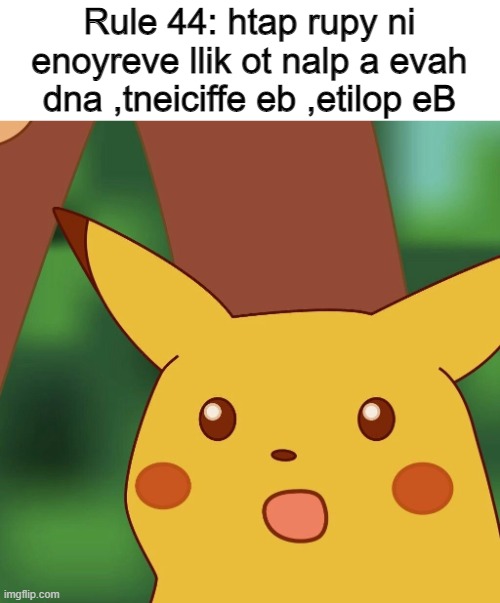 Pikachu Meme | Rule 44: htap rupy ni enoyreve llik ot nalp a evah dna ,tneiciffe eb ,etilop eB | image tagged in pikachu meme | made w/ Imgflip meme maker