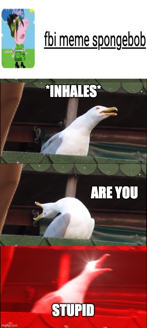 Inhaling Seagull Meme | *INHALES*; ARE YOU; STUPID | image tagged in memes,inhaling seagull | made w/ Imgflip meme maker
