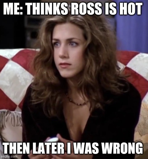 Think  rachel | ME: THINKS ROSS IS HOT; THEN LATER I WAS WRONG | image tagged in rachel green friends,nooo haha go brrr | made w/ Imgflip meme maker