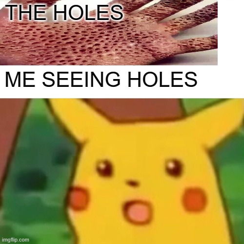Surprised Pikachu Meme | THE HOLES; ME SEEING HOLES | image tagged in memes,surprised pikachu | made w/ Imgflip meme maker