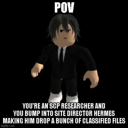 am BORED | POV; YOU'RE AN SCP RESEARCHER AND YOU BUMP INTO SITE DIRECTOR HERMES MAKING HIM DROP A BUNCH OF CLASSIFIED FILES | image tagged in idk,roleplaying | made w/ Imgflip meme maker