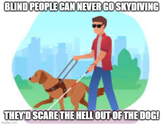 I See How That Would Be Bad | BLIND PEOPLE CAN NEVER GO SKYDIVING; THEY'D SCARE THE HELL OUT OF THE DOG! | image tagged in dark humor | made w/ Imgflip meme maker