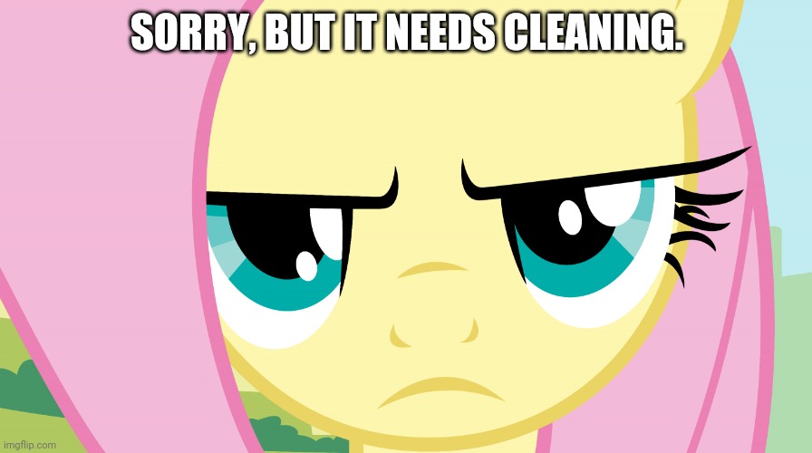 Fluttershy Not Amused (MLP) | SORRY, BUT IT NEEDS CLEANING. | image tagged in fluttershy not amused mlp | made w/ Imgflip meme maker
