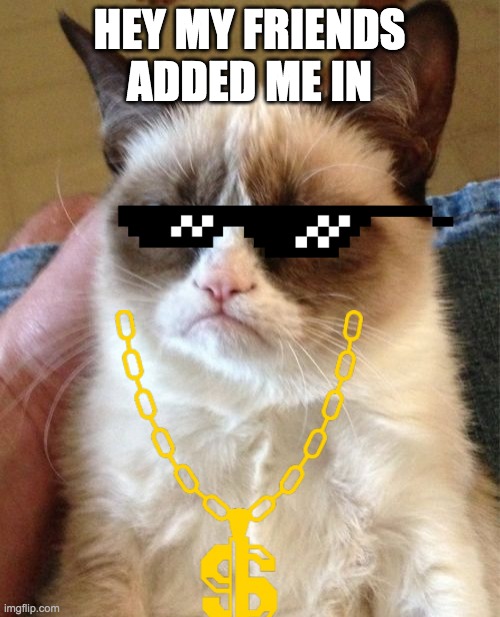 Grumpy Cat Meme | HEY MY FRIENDS ADDED ME IN | image tagged in memes,grumpy cat | made w/ Imgflip meme maker