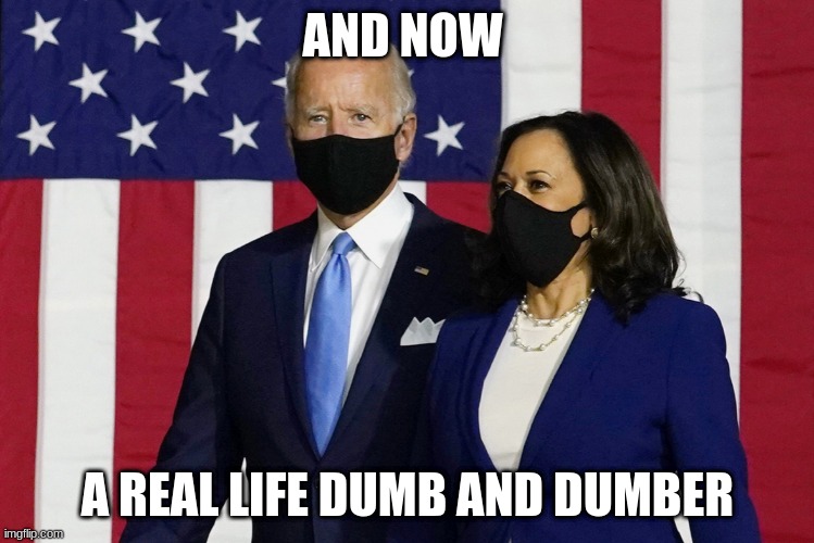Biden and Kamala 2020 | AND NOW; A REAL LIFE DUMB AND DUMBER | image tagged in biden and kamala 2020,conservatives,funny,haha,biden,liberal vs conservative | made w/ Imgflip meme maker