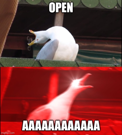 Screaming bird | OPEN AAAAAAAAAAAA | image tagged in screaming bird | made w/ Imgflip meme maker