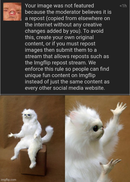 This was in politics | image tagged in memes,persian cat room guardian | made w/ Imgflip meme maker