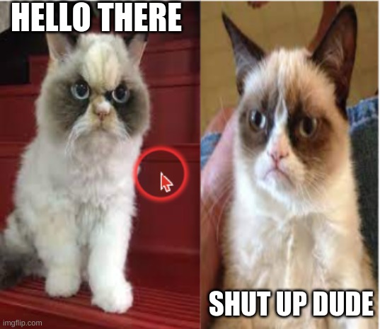 New Grumpy cat vs Grumpy cat | HELLO THERE; SHUT UP DUDE | image tagged in grumpy cat,new grumpy cat | made w/ Imgflip meme maker