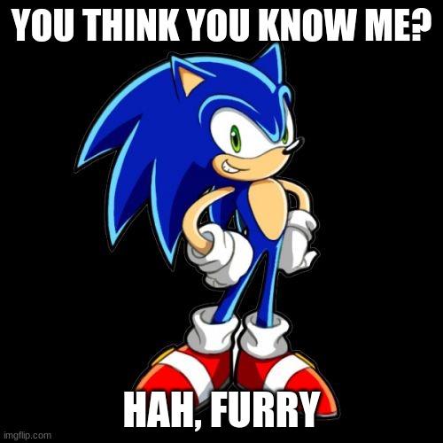 Sonk | YOU THINK YOU KNOW ME? HAH, FURRY | image tagged in memes,you're too slow sonic | made w/ Imgflip meme maker