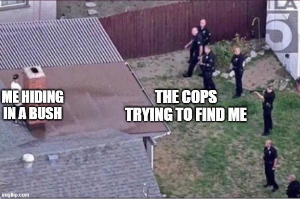 tru | THE COPS TRYING TO FIND ME; ME HIDING IN A BUSH | image tagged in guy hiding from cops on roof | made w/ Imgflip meme maker