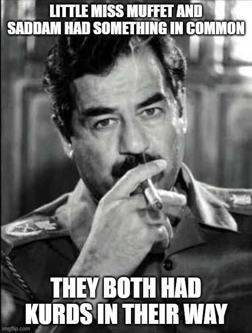 Strange Commonality | LITTLE MISS MUFFET AND SADDAM HAD SOMETHING IN COMMON; THEY BOTH HAD KURDS IN THEIR WAY | image tagged in saddam smoking noir | made w/ Imgflip meme maker