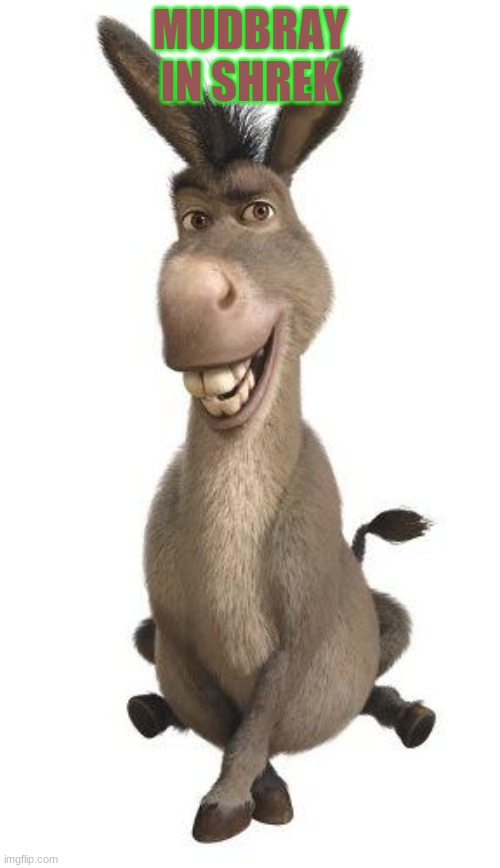 Donkey from Shrek |  MUDBRAY IN SHREK | image tagged in donkey from shrek | made w/ Imgflip meme maker