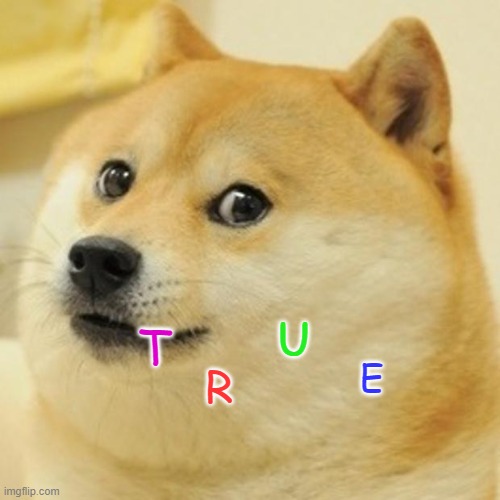 Doge Meme | T R U E | image tagged in memes,doge | made w/ Imgflip meme maker