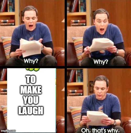 Why, why, why, Oh that's why | TO MAKE YOU LAUGH | image tagged in why why why oh that's why | made w/ Imgflip meme maker