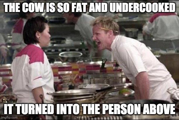 Angry Chef Gordon Ramsay Meme | THE COW IS SO FAT AND UNDERCOOKED; IT TURNED INTO THE PERSON ABOVE | image tagged in memes,angry chef gordon ramsay | made w/ Imgflip meme maker