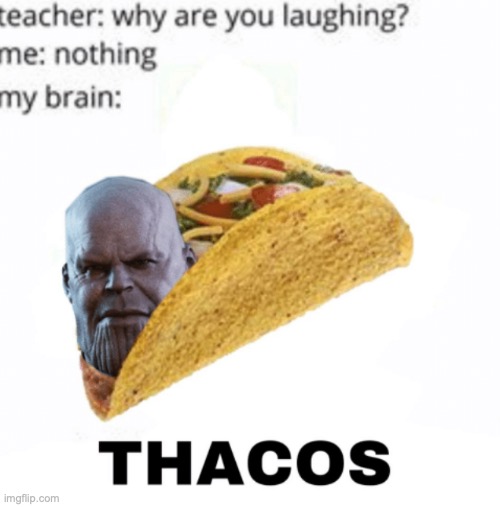 tacos | image tagged in lol,memes | made w/ Imgflip meme maker