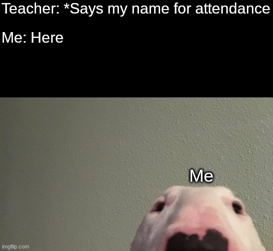 Teacher: *Says my name for attendance; Me: Here; Me | image tagged in walter,fun,memes | made w/ Imgflip meme maker