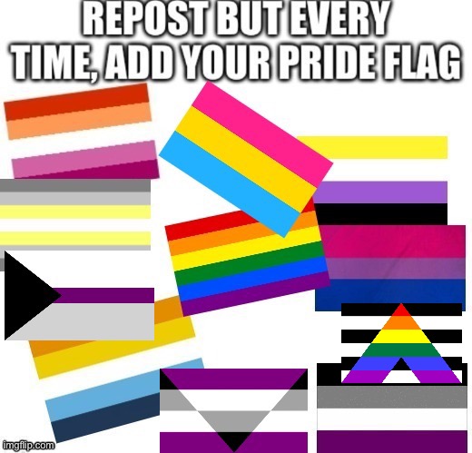 Ally Pride | made w/ Imgflip meme maker