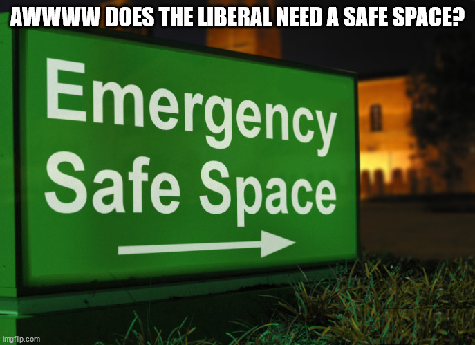 AWWWW DOES THE LIBERAL NEED A SAFE SPACE? | made w/ Imgflip meme maker