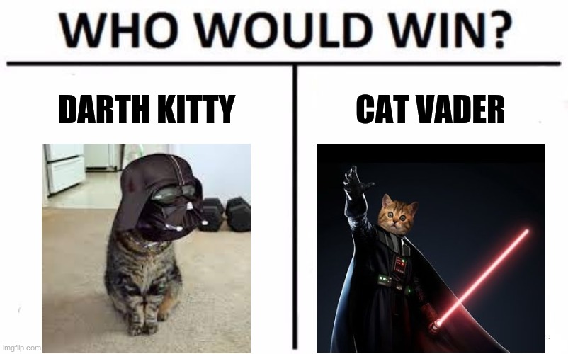 Image Title | DARTH KITTY; CAT VADER | image tagged in memes,who would win,star wars,cats,darth vader | made w/ Imgflip meme maker