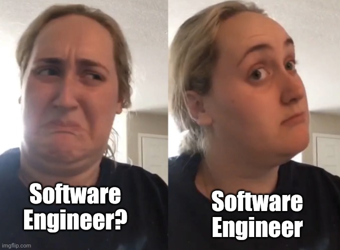 Brittany Tomlinson, Kombucha Girl | Software Engineer? Software Engineer | image tagged in brittany tomlinson kombucha girl | made w/ Imgflip meme maker