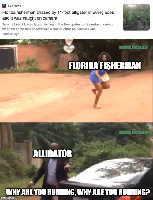 FLORIDA FISHERMAN; ALLIGATOR; WHY ARE YOU RUNNING, WHY ARE YOU RUNNING? | image tagged in why are you running | made w/ Imgflip meme maker