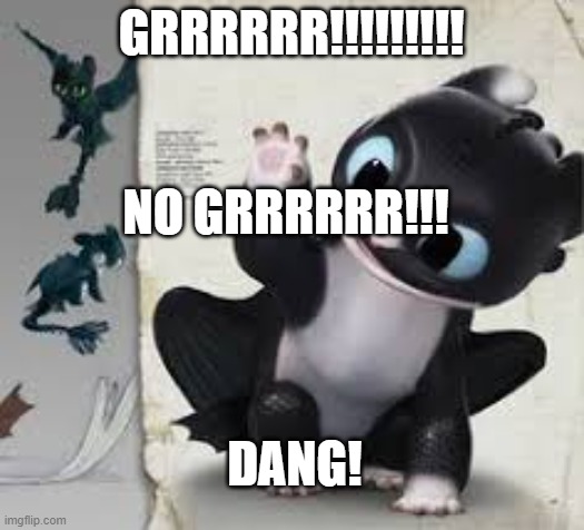GRRRRRR!!!!!!!!! NO GRRRRRR!!! DANG! | image tagged in funny memes | made w/ Imgflip meme maker