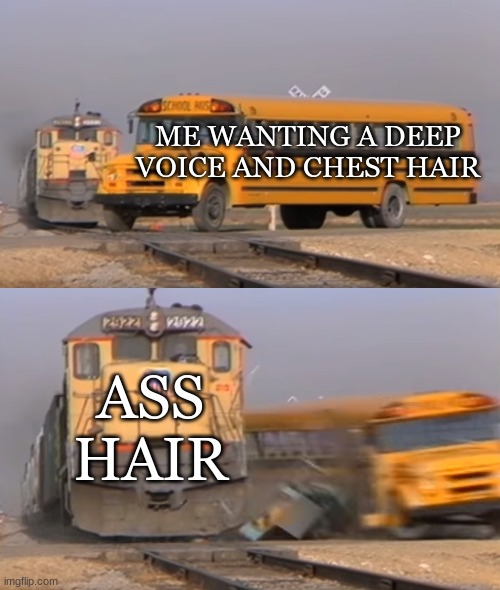 puberty | ME WANTING A DEEP VOICE AND CHEST HAIR; ASS HAIR | image tagged in a train hitting a school bus | made w/ Imgflip meme maker