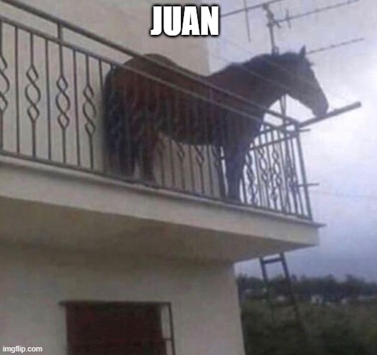 Juan |  JUAN | image tagged in juan | made w/ Imgflip meme maker