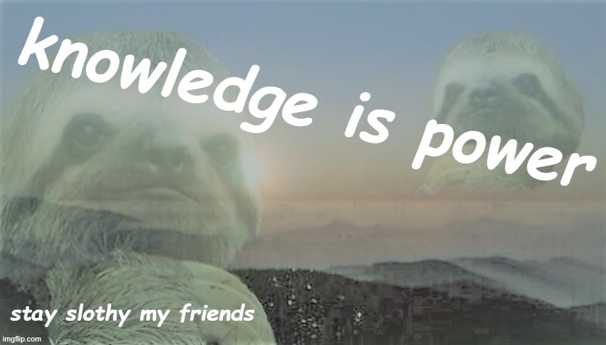 Sloth knowledge is power stay slothy my friends | image tagged in sloth knowledge is power stay slothy my friends | made w/ Imgflip meme maker