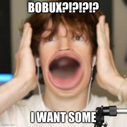 Flamingo surprised | BOBUX?!?!?!? I WANT SOME | image tagged in flamingo surprised | made w/ Imgflip meme maker