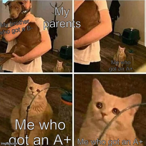 Sad Cat Holding Dog | My parents; My brother who got a B-; Me who got an A+; Me who got an A+; Me who got an A+ | image tagged in sad cat holding dog | made w/ Imgflip meme maker
