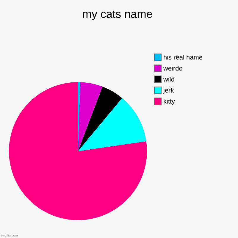 my cats name | kitty, jerk, wild, weirdo, his real name | image tagged in charts,pie charts | made w/ Imgflip chart maker